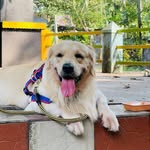 Roshini Sankar - @ro.shini1451 - Instagram