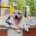 Roshini Sankar - Facebook