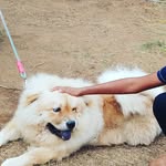 Roshini Thomas - @_roshni_thomas_ - Instagram