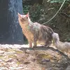 Rosie Smith - @rosie.smith10 - TikTok