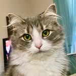 rosie_avery_lilvest - @rosie_avery_lilvest - Instagram