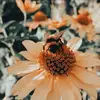 Hiii - @rosie.bright - TikTok