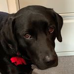 Rosie Bright - @rosie.so.bright - Instagram