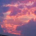 D diary - @rosie_cherry_ - Instagram