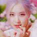 Rosie and the Cherry Blossoms - Facebook