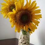 Rosie Duran - @rdurancol - Instagram