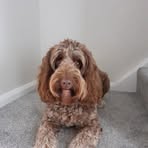 Rosie Dutton - Facebook