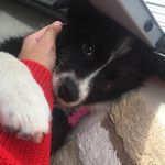 Rosie egan - @rosie_sitdown - Instagram