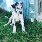 rosie eubanks - @boo.baby_1231 - Instagram