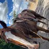 Rosie Eubanks - @rosie.eubanks5 - TikTok