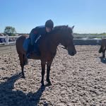 Rosie foreman - @rosie.4man - Instagram