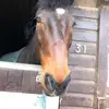 rosieforeman05 - @rosieforeman2006 - TikTok