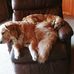 Rose Garrison - Facebook