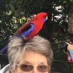 Gary And Rosemary - @gary_rosie - Instagram
