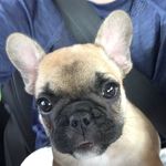 Rosie - @rosie_gary_ - Instagram