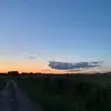 Rosie Harrison - @rosiee.h - TikTok