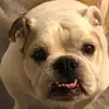 Rosie_henry01 - @rosie_henry01 - TikTok