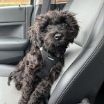 Rosie Henry - @rosie_posie_pwd - Instagram
