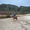 Rosie🐴🐶 - @rosiehenry59 - TikTok
