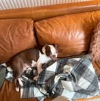 Rosie Herbert - Facebook