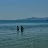 rosie.herbert1 - @rosie.herbert1 - TikTok