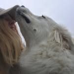 Larry & Rosie Goodman - @larrytorosie - Instagram