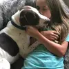 Rosie and Larry🐶❤️ - @k9.duo2 - TikTok