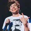 @rosie_loveslarry - @fivedirections28 - TikTok
