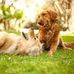 Rosie Maher - Facebook