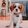 Rosie Maxwell - @user41740443 - TikTok