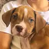 Rosie MAXWELL - @rosmax1.2.3.4.4 - TikTok