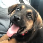 Rosie McElroy-Masters - @rosietheriveter105 - Instagram
