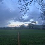 Rosie Morrison - @x.rm.x37 - Instagram