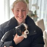 Rosie Morrison - @alfiebordoodle - Instagram