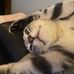 Rosie Oneil - Facebook