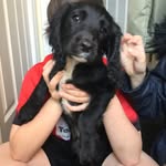 Rosieoneill - @rosieoneill2203 - Instagram