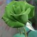 Rose Pearson - Facebook