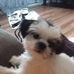 Rosie Pearson - Facebook