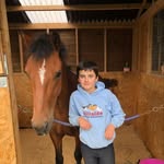 Reece & Rosie Pony - @reeceandrosie - Instagram