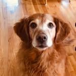 Rosie Roberson - @rosie.belle.roberson - Instagram