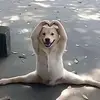 ROSIE - @xx.rosiesaunders.xx - TikTok
