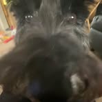 Rosie Singleton - Facebook