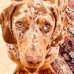 Rosie Stevenson - @5759rs_ - Instagram