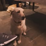Rosie stevenson - @rosie_sushi3 - Instagram