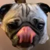 ROSIE GANG - @rosiegangstrong - TikTok