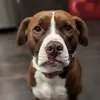 Rosie - @rosie.strong - TikTok