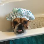 Rosie Strong - @rosiestrong6042 - Instagram