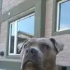 rosietoth532 - @rosietoth532 - TikTok
