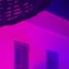 rosie - @.rosiewhitehead - TikTok