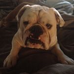Rosie 101 - @rosie_whitehead_101 - Instagram
